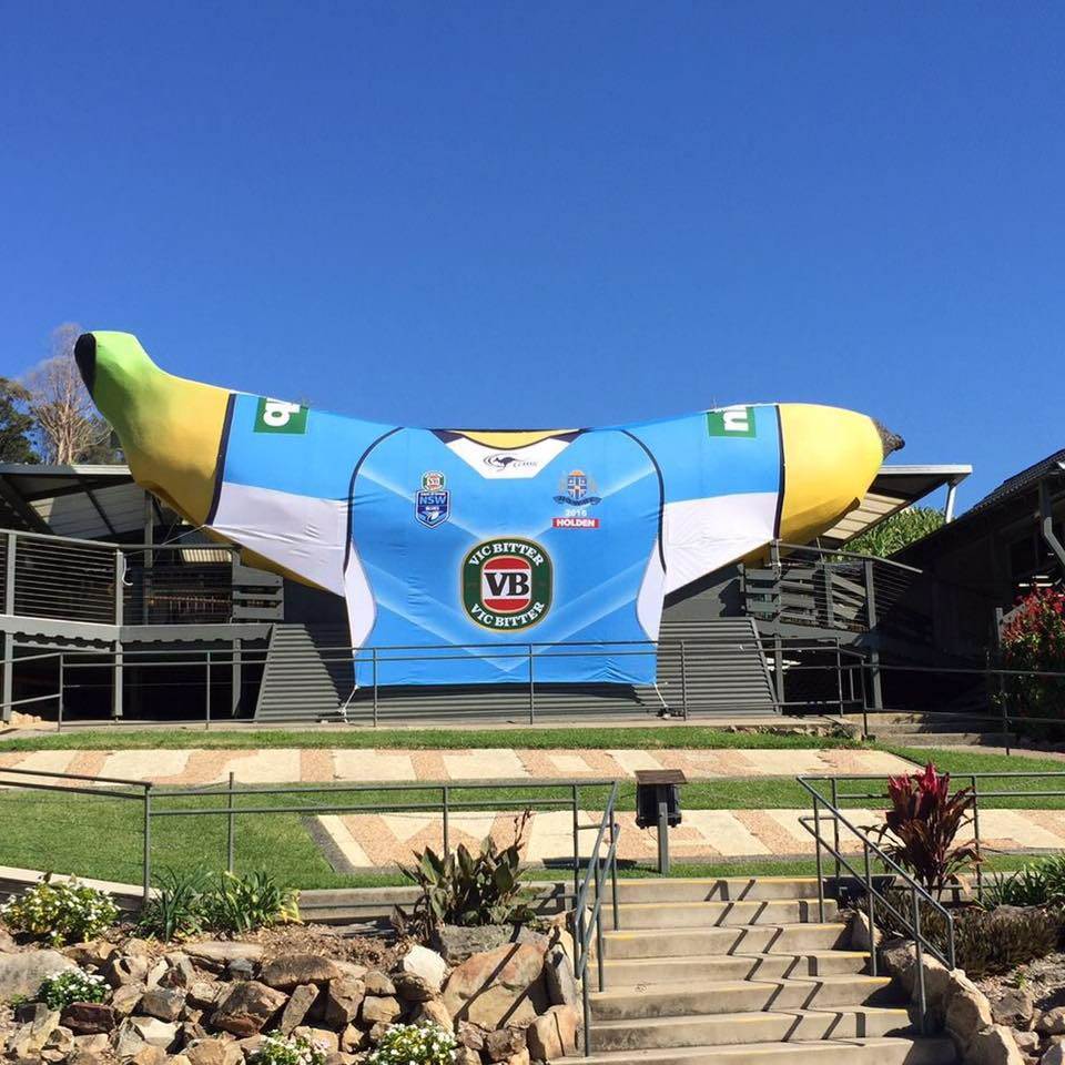 13221535 10209866823207139 3994504821324179469 n