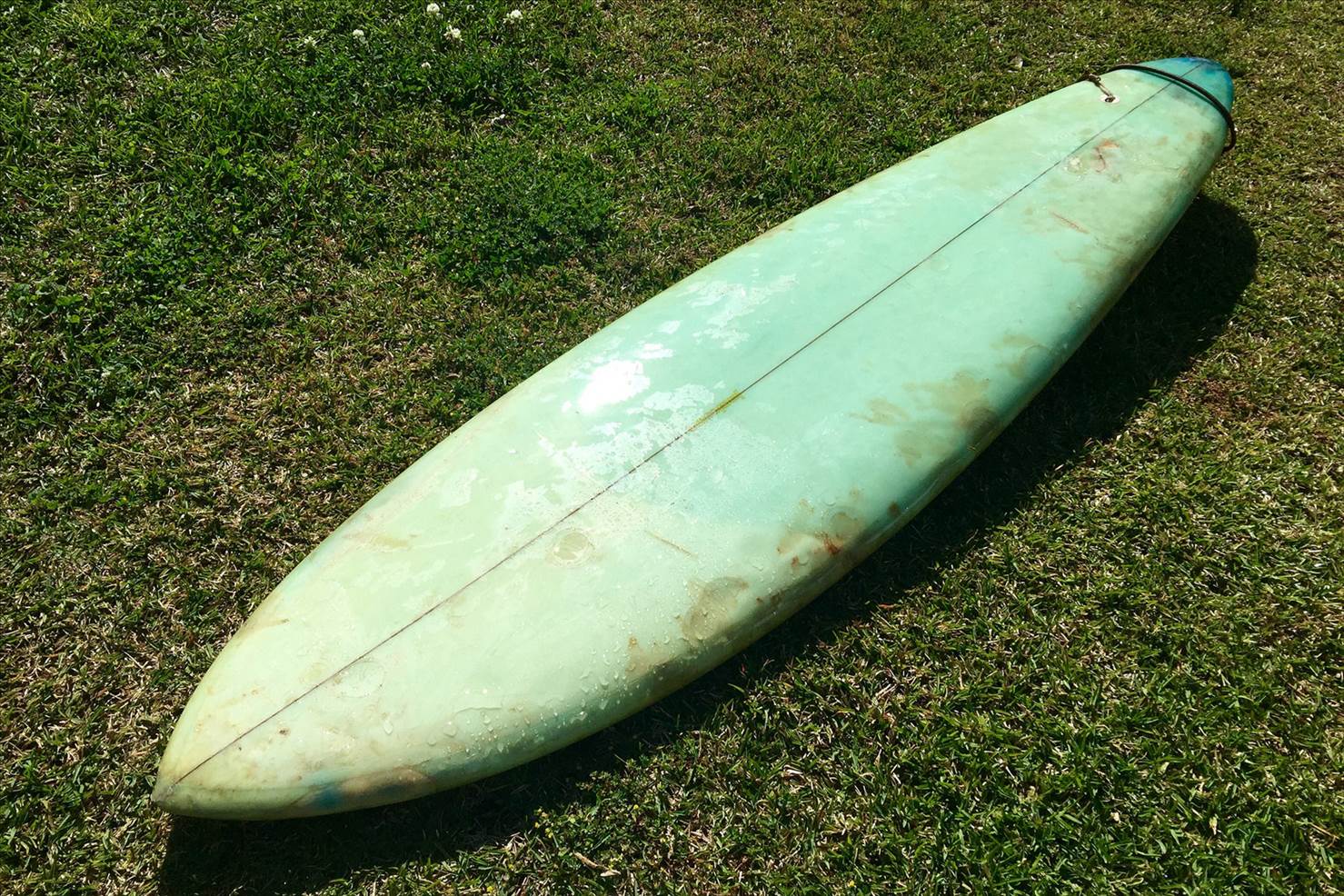 29288201243 b6bb571d86 k