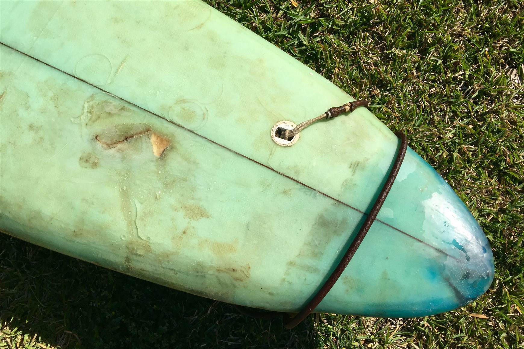 29287439704 10446cad75 k