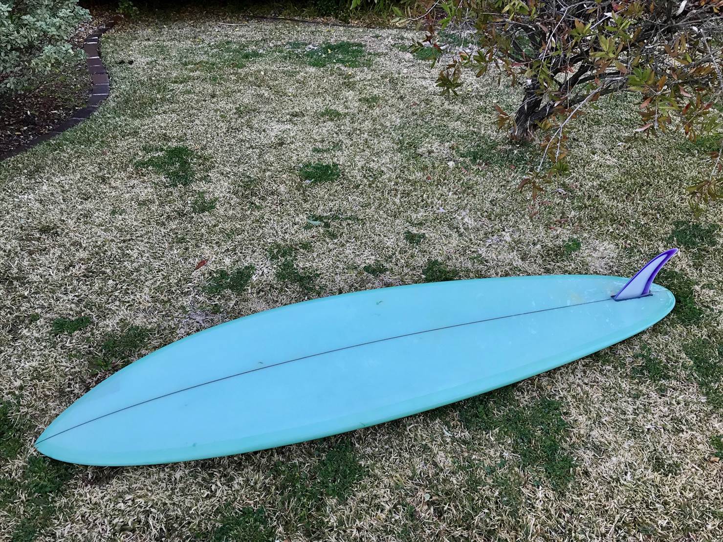 36265851752 e9d7866e85 k