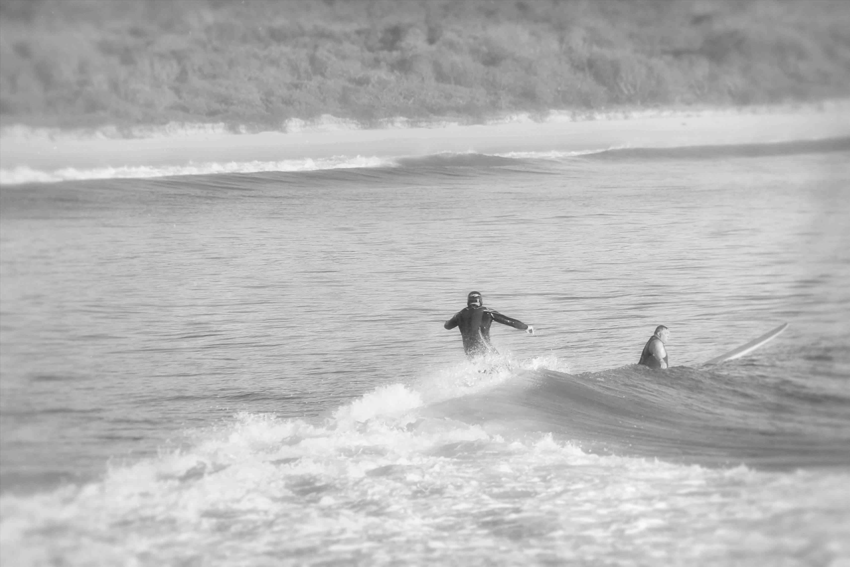 31800996990 494ecc9806 o