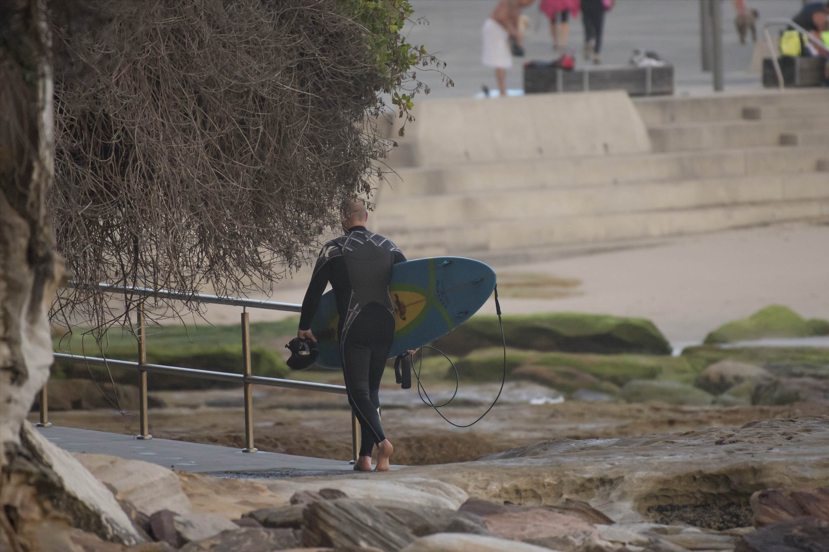 31334905124 282967b857 o