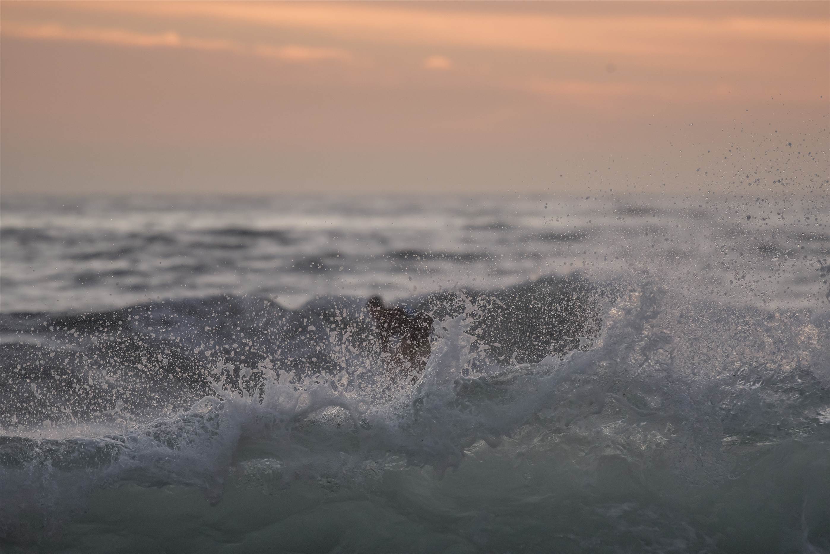 32662805442 365e597d2d o