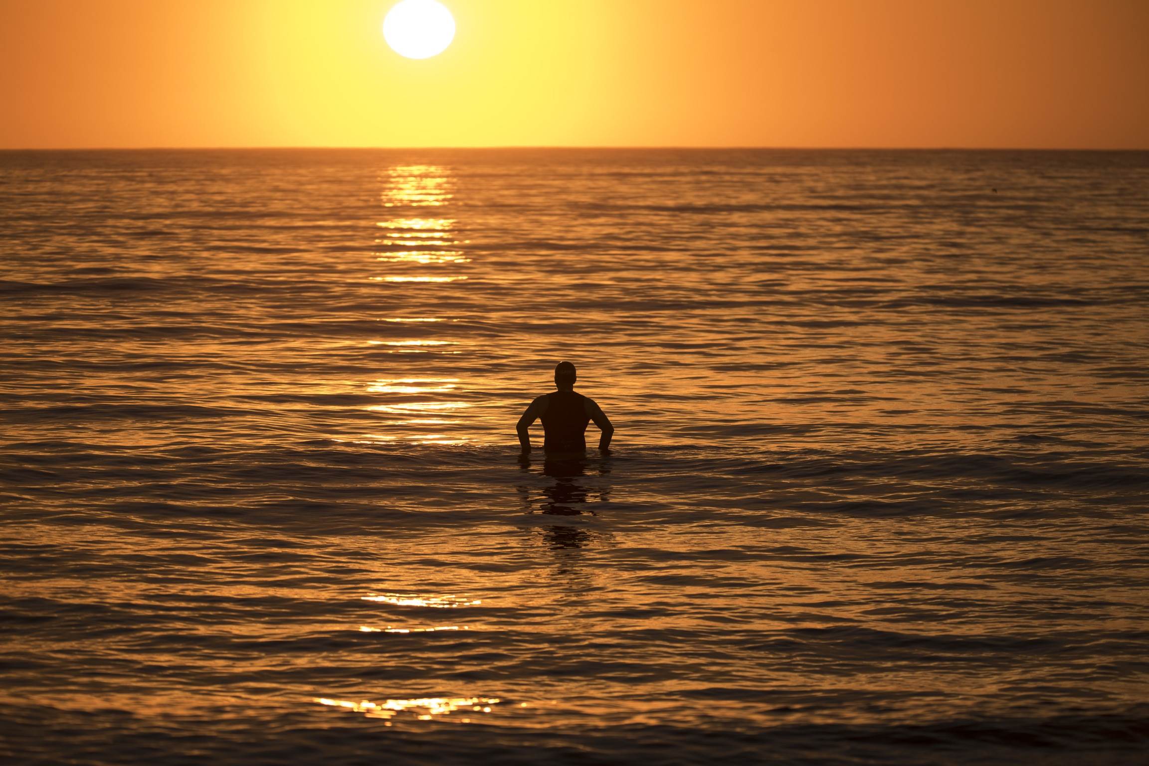 31393007533 185dd78d8b o