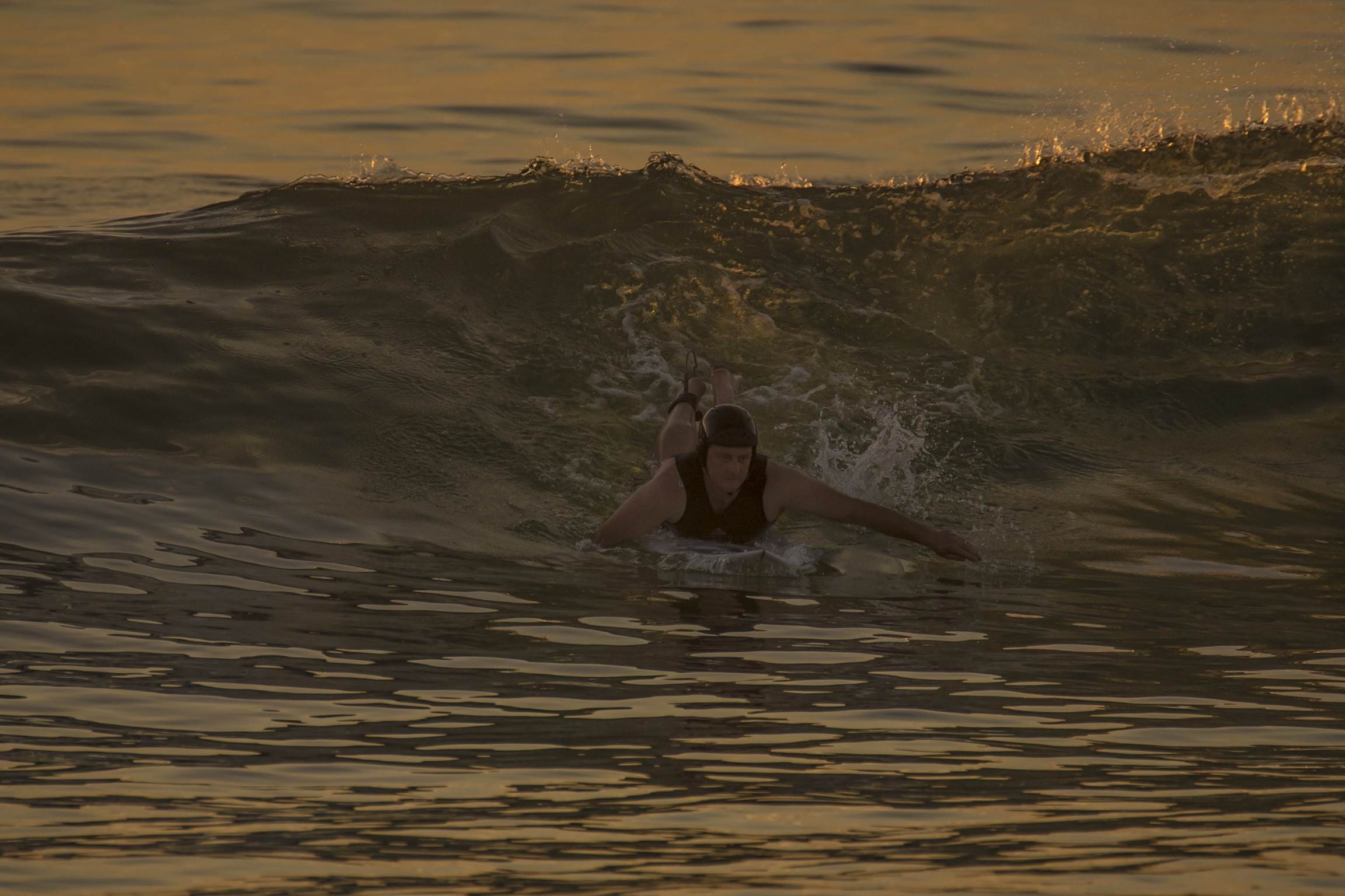 31392813423 11ab0c73ee o