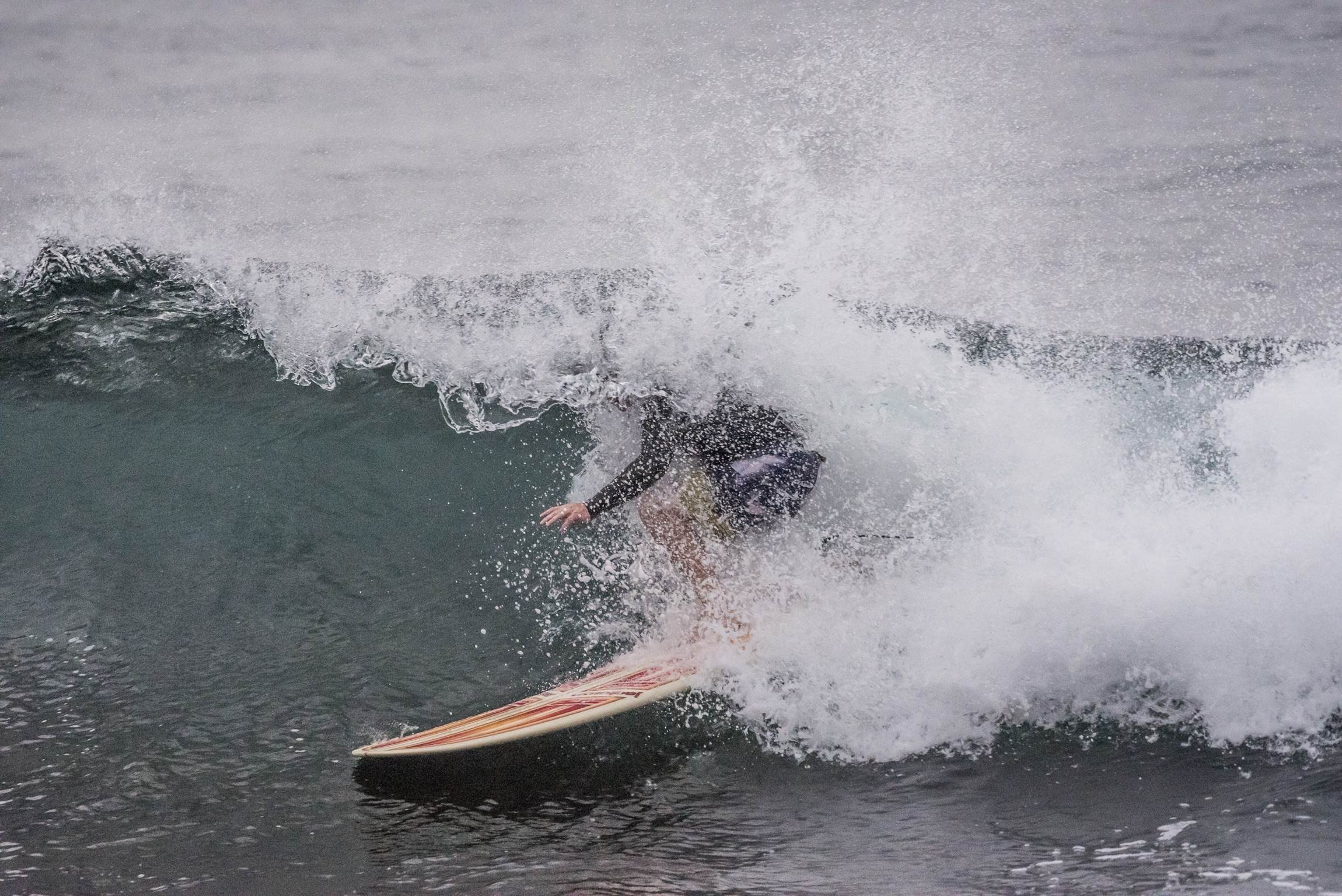 31702713174 2a50ec1604 o