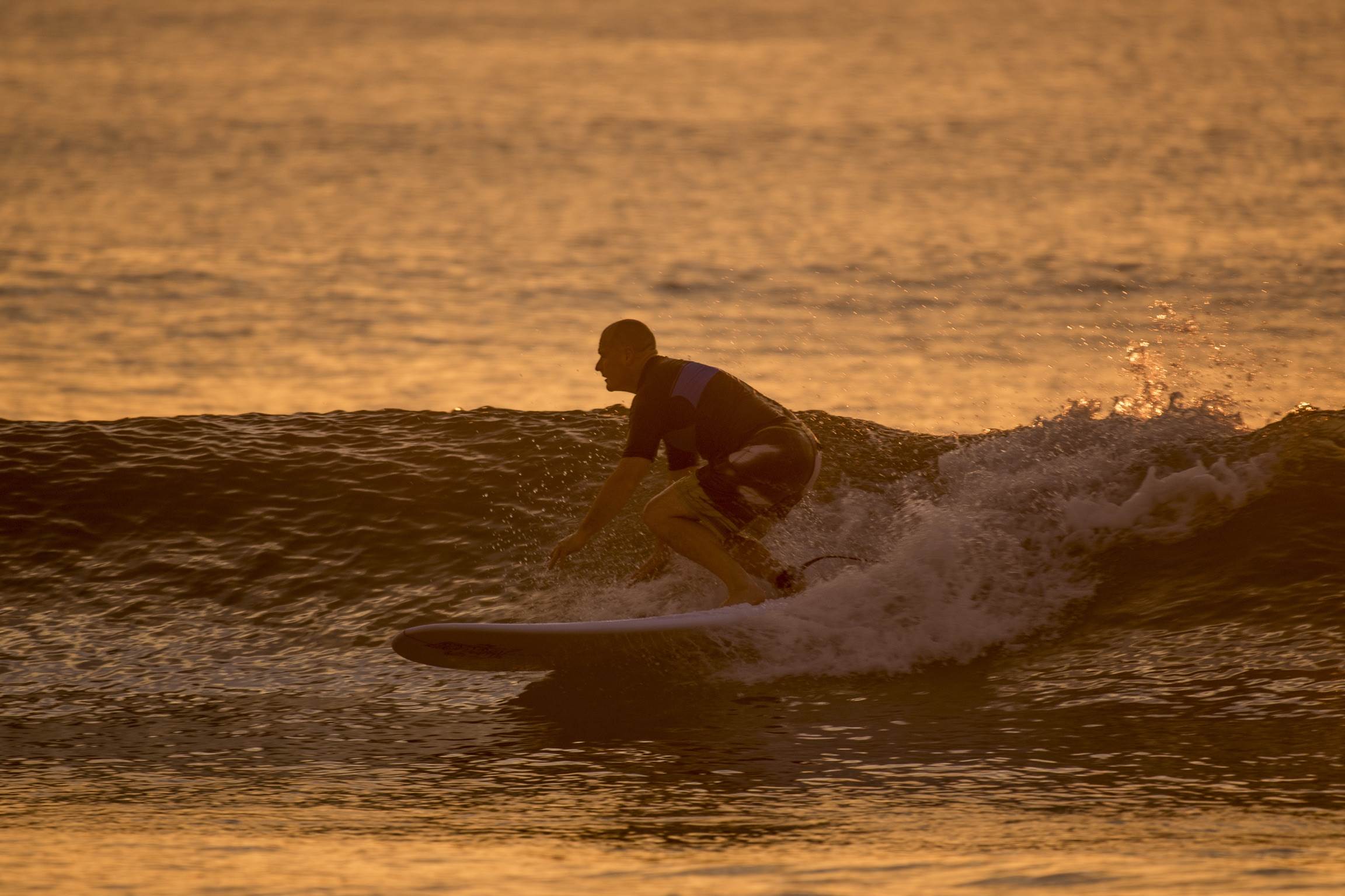 32695711316 c62f541205 o