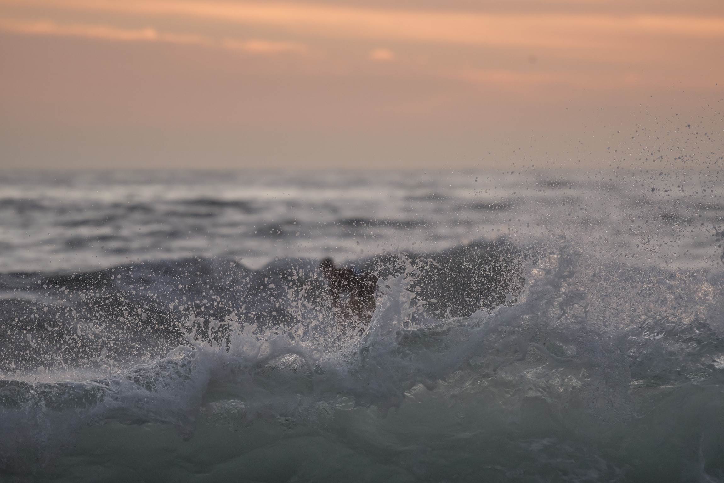 32662805442 365e597d2d o