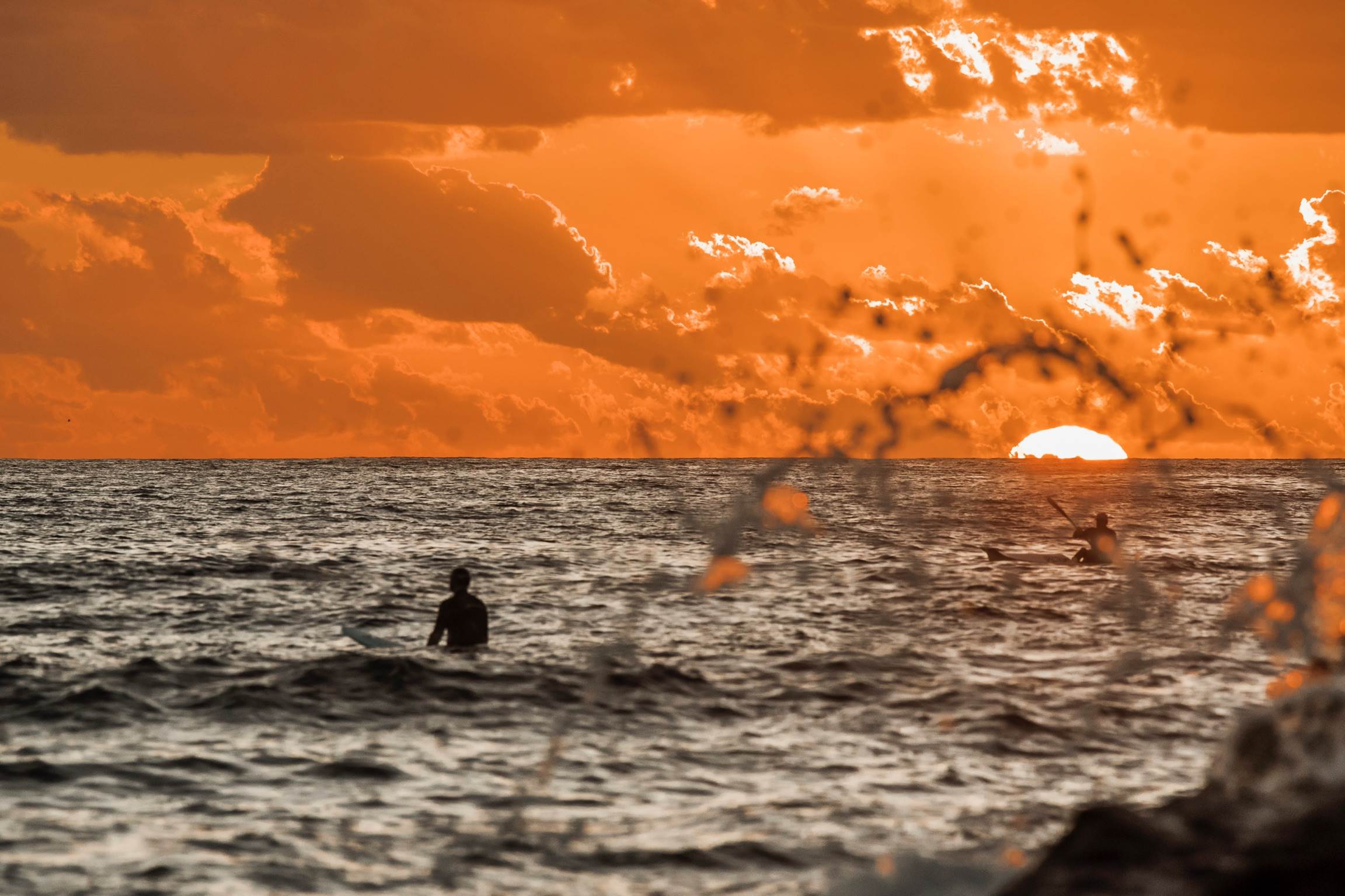 32933736250 96d4fd6ca9 o