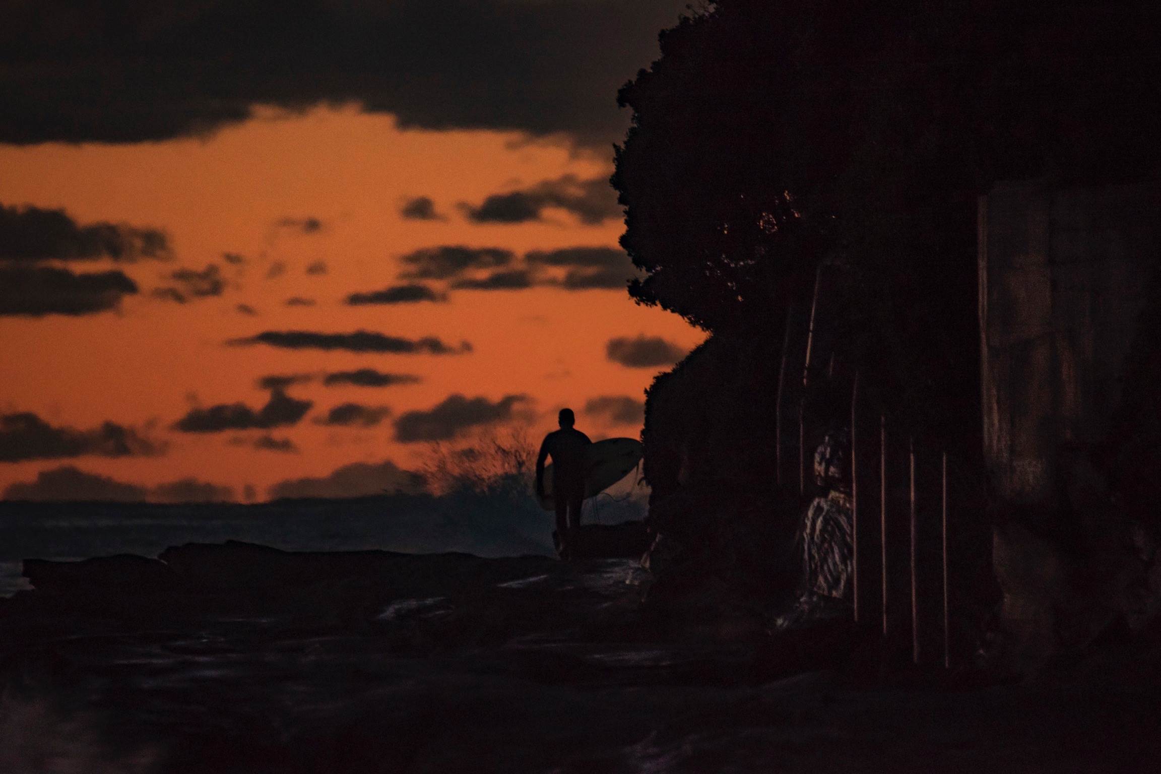 33750224081 a51a24aff1 o