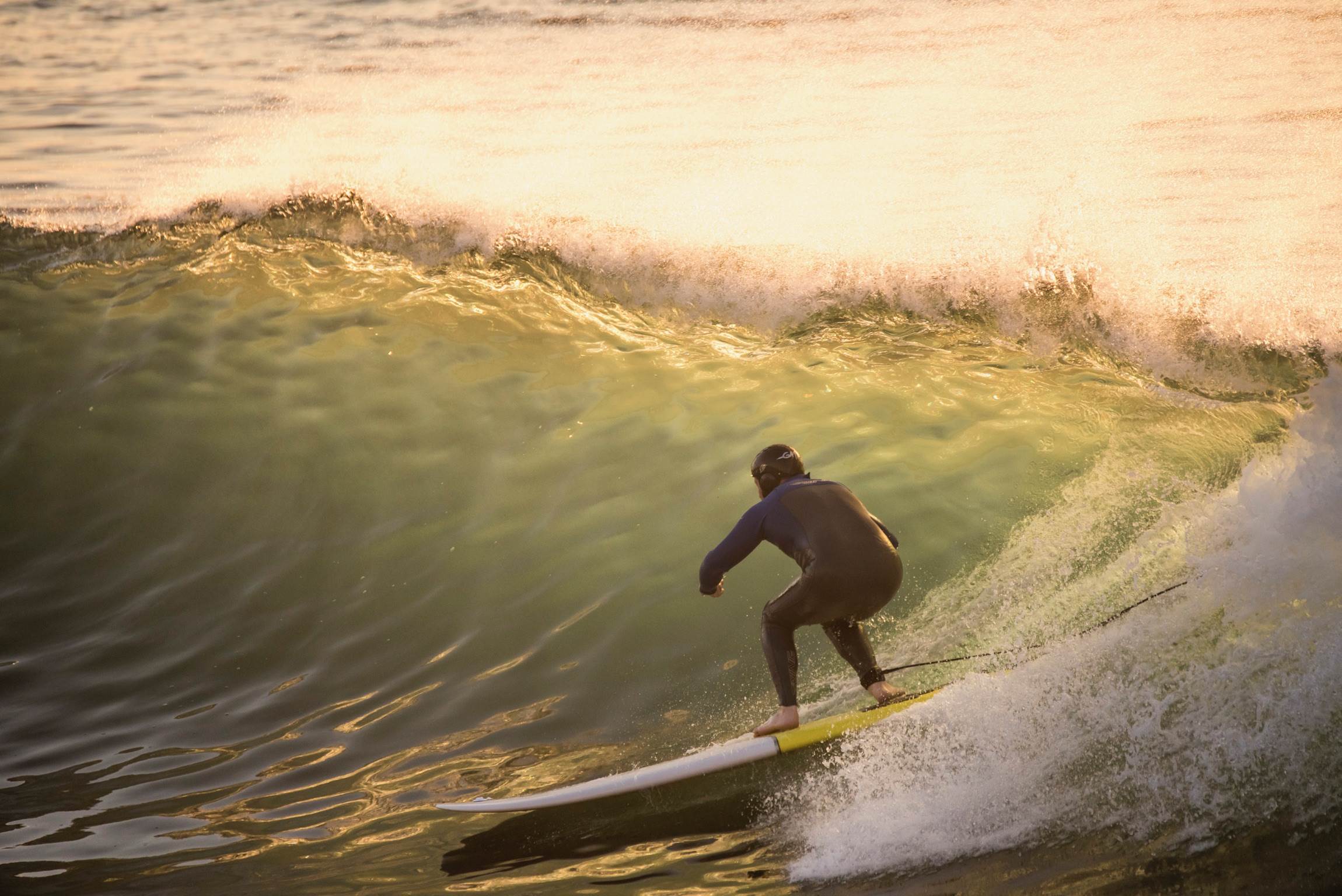 34051946401 689a65653f o