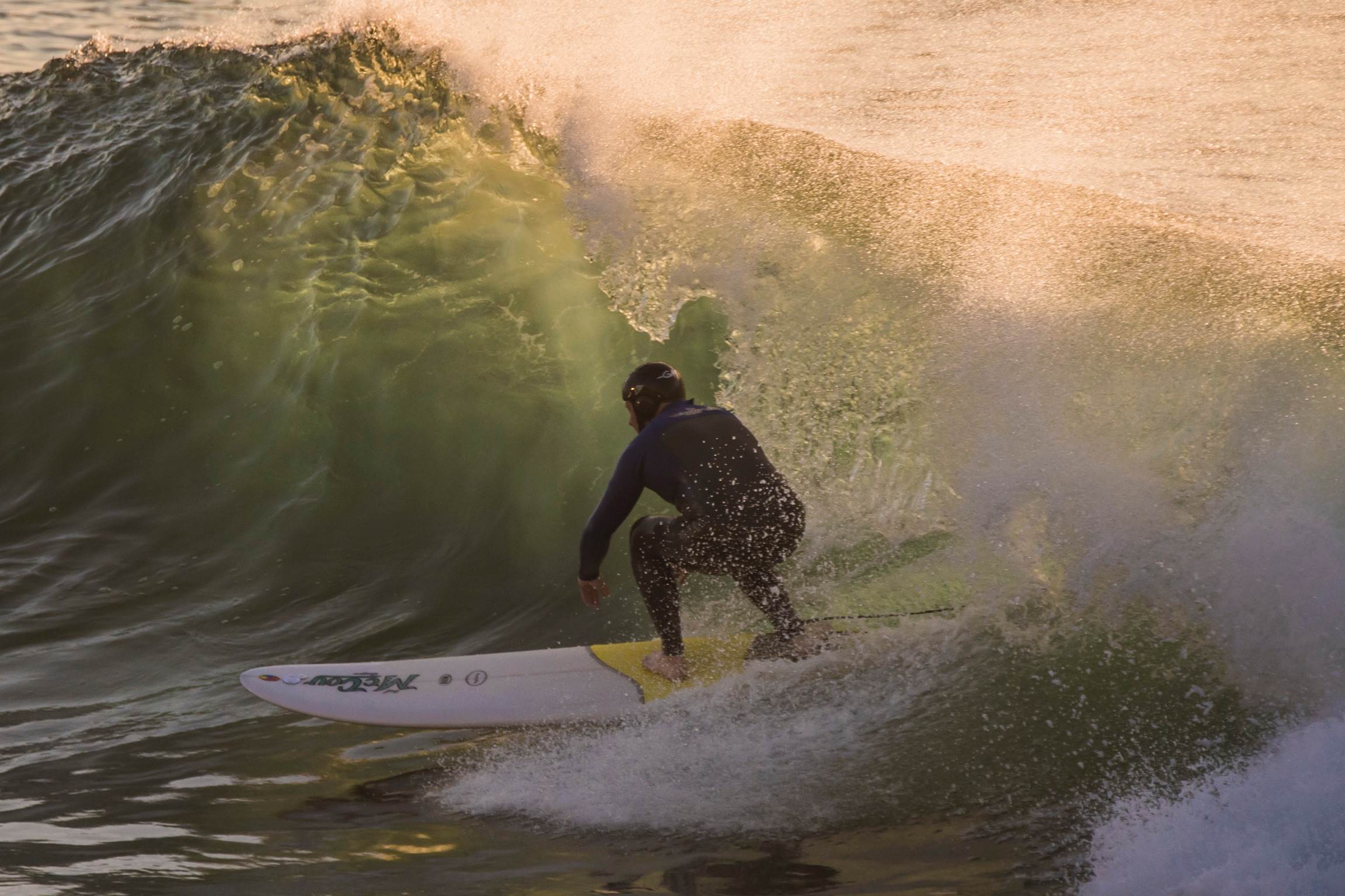 34142257486 d7984cc41c o