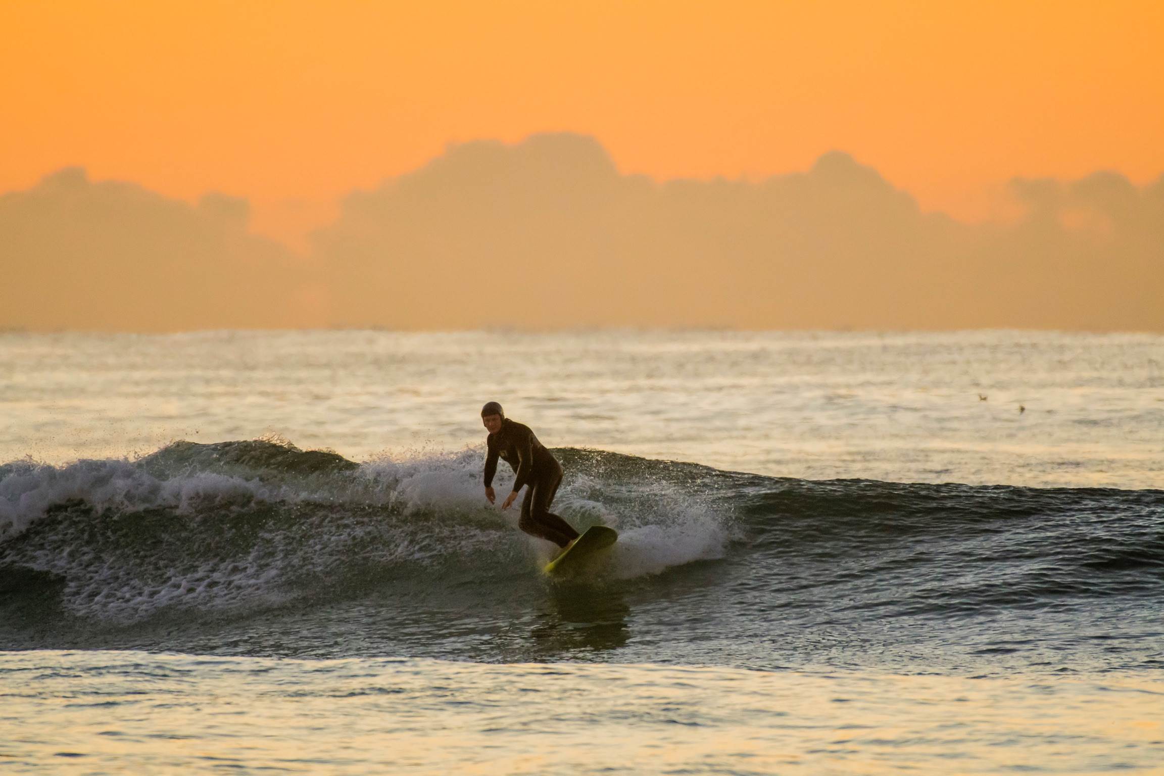 34236178081 a137d40fcf o