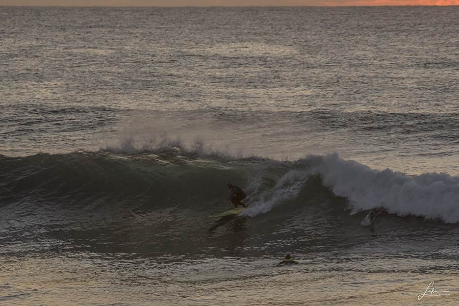 36449364274 220f1cd2bd o