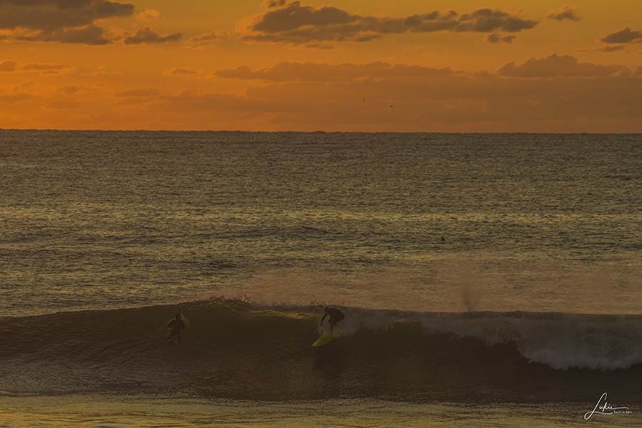 36889378240 d77b851213 o