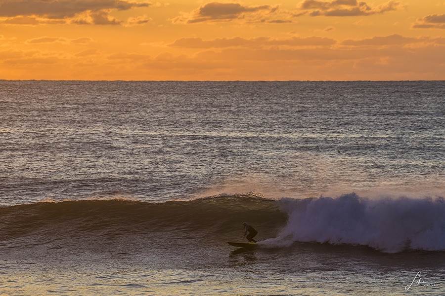 36472579393 d3b9146e62 o