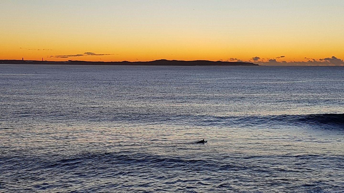 35668933263 b206439695 o