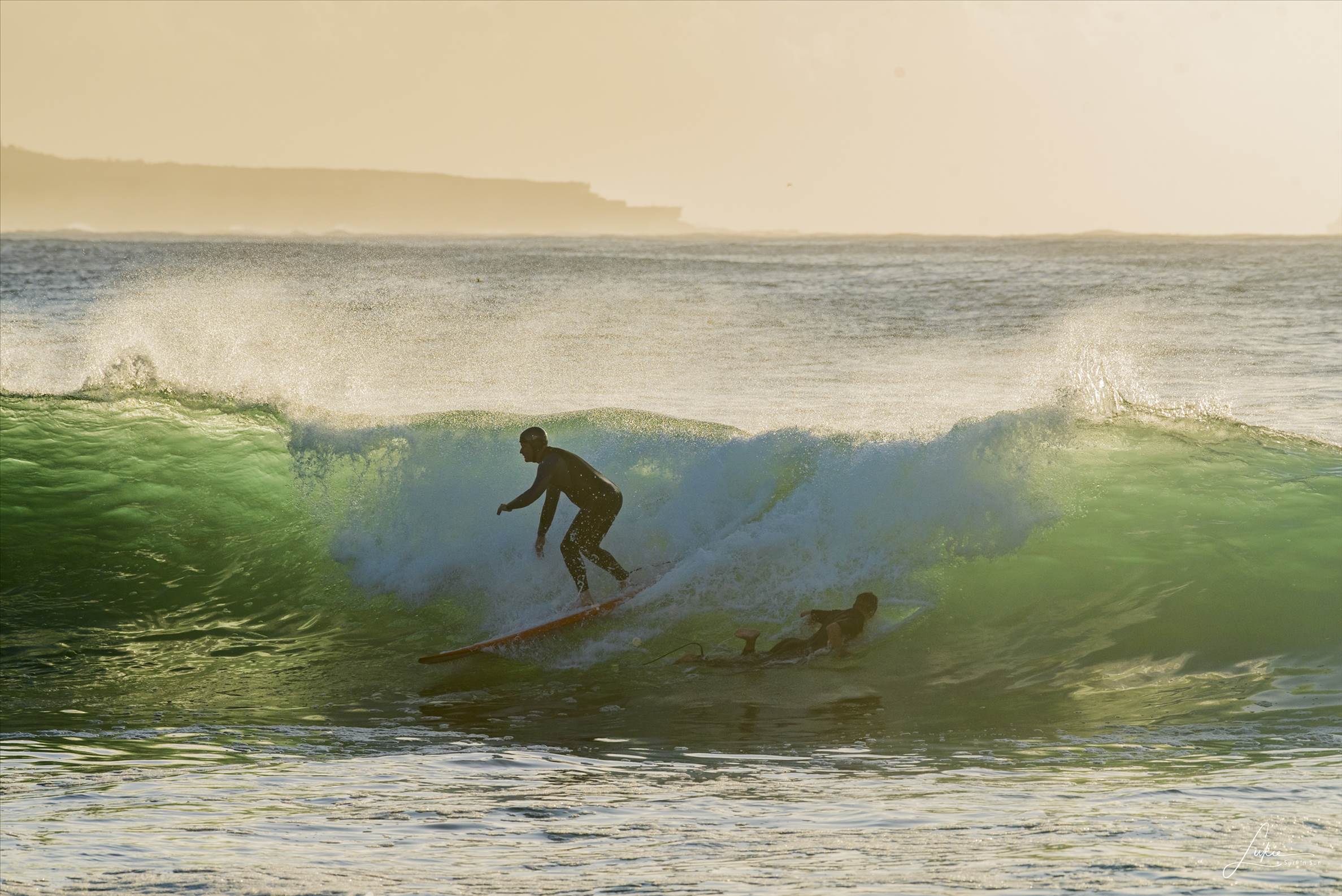  HDZ1786 3870x2584 2035949