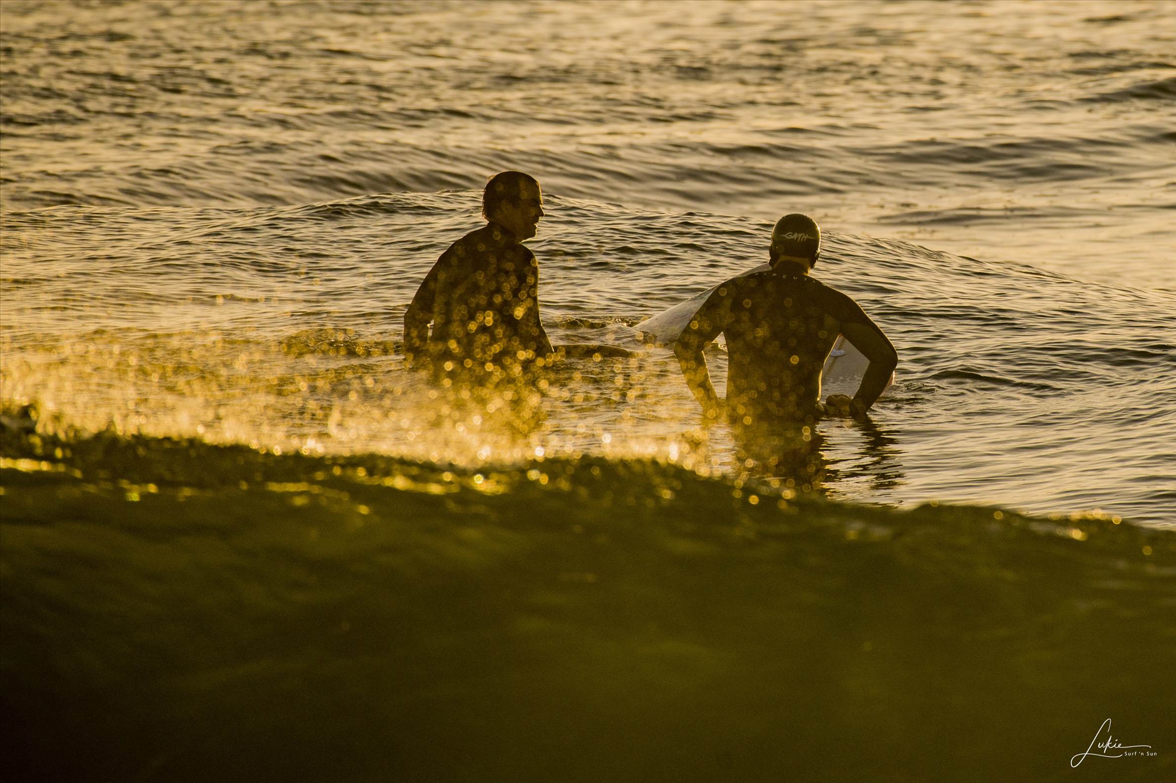  HDZ1769 3873x2582 2035950