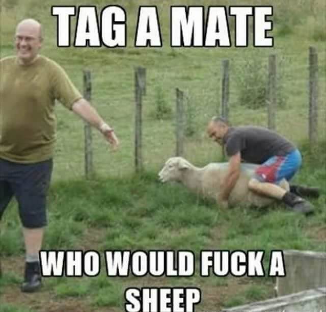 FB IMG 1508183575155