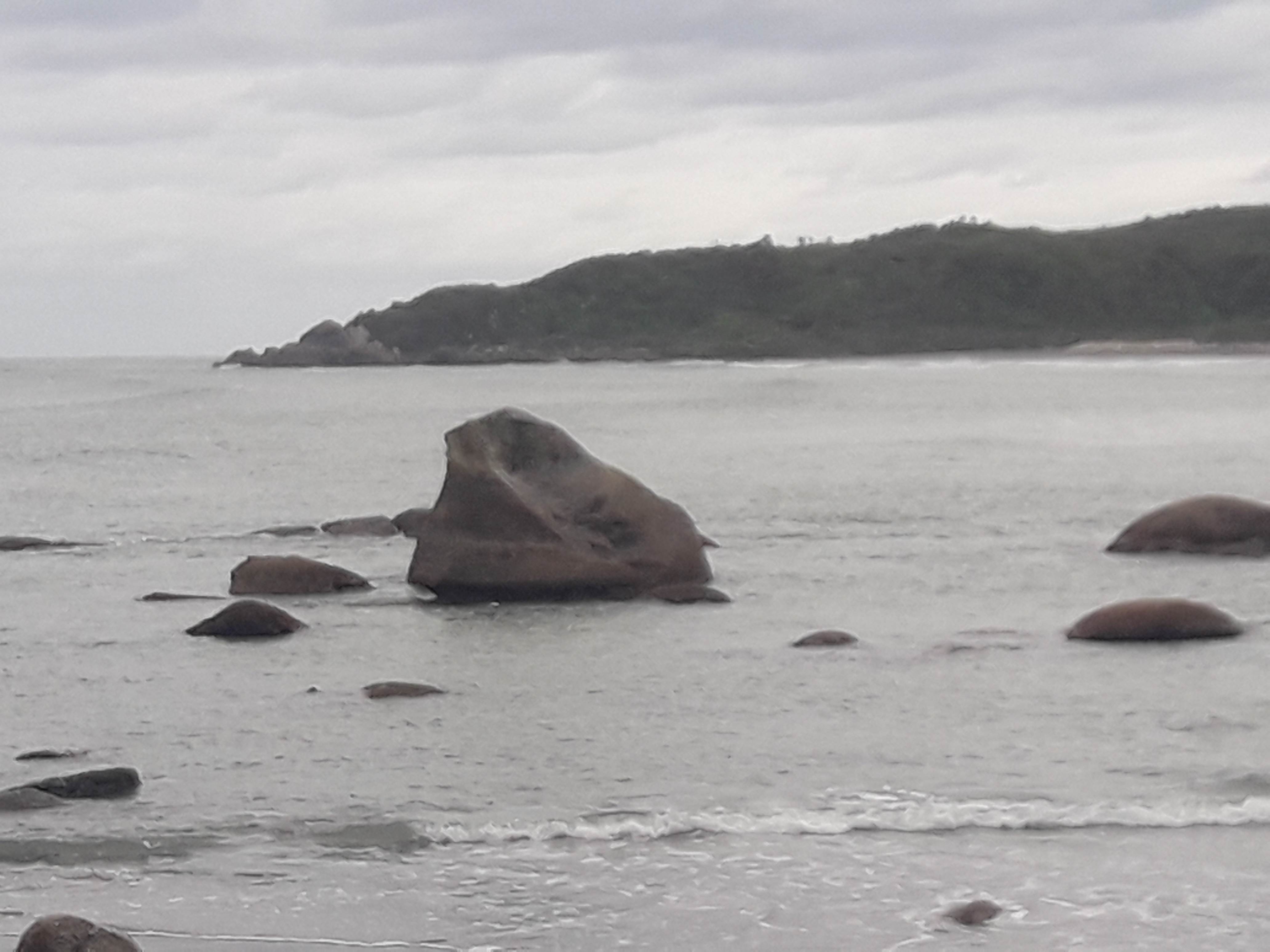 South Island Westport 028