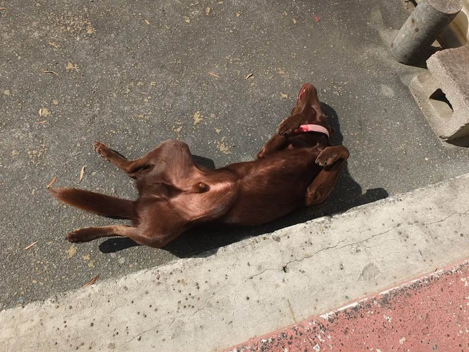 41801977 2636820183010025 3622970240352124928 n (1)