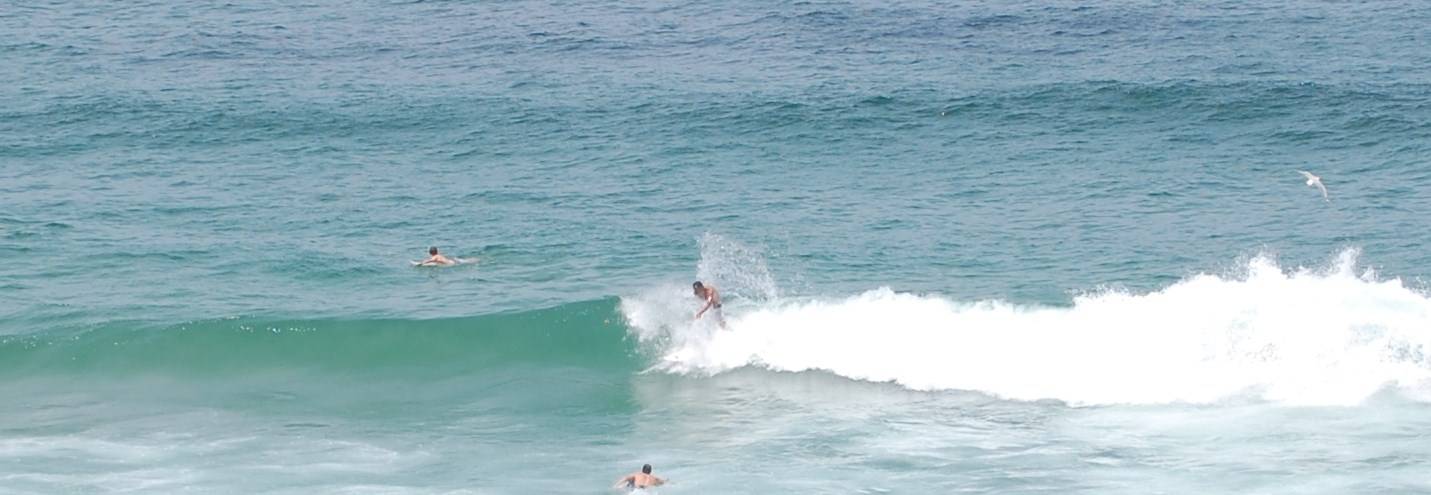 bondi beach... 2/1/08