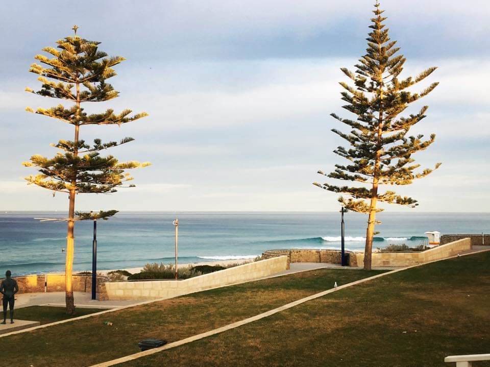 23435006 10155907640882277 8243984054194323821 n