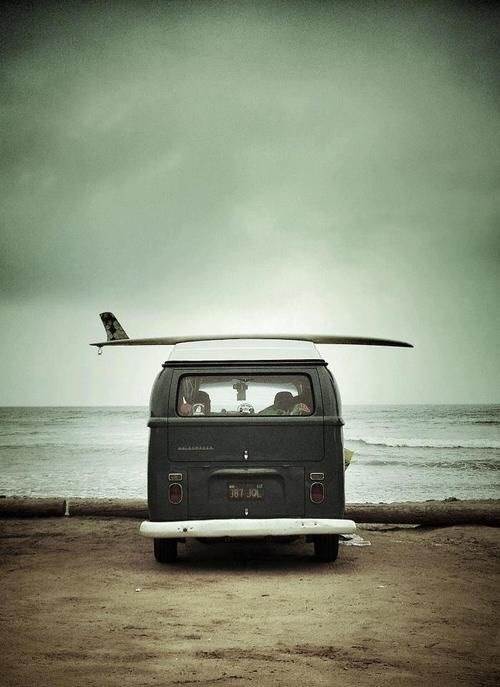 tumblr pnf3108K3d1rlupep 500