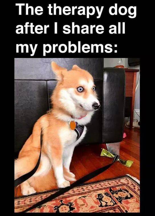 FB IMG 1556522013976