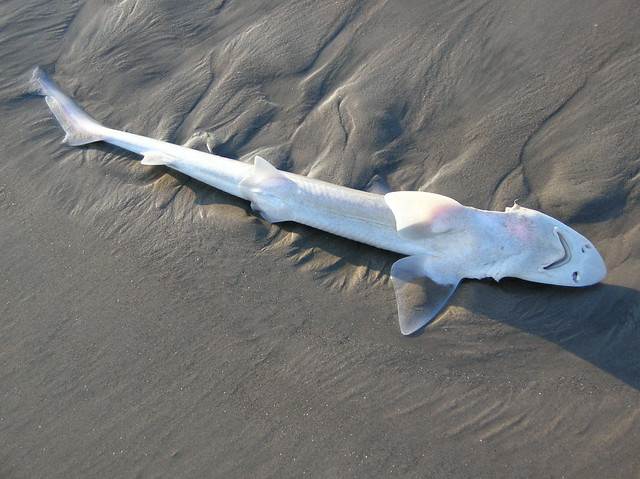 2743674559 c0fd9cfafd z