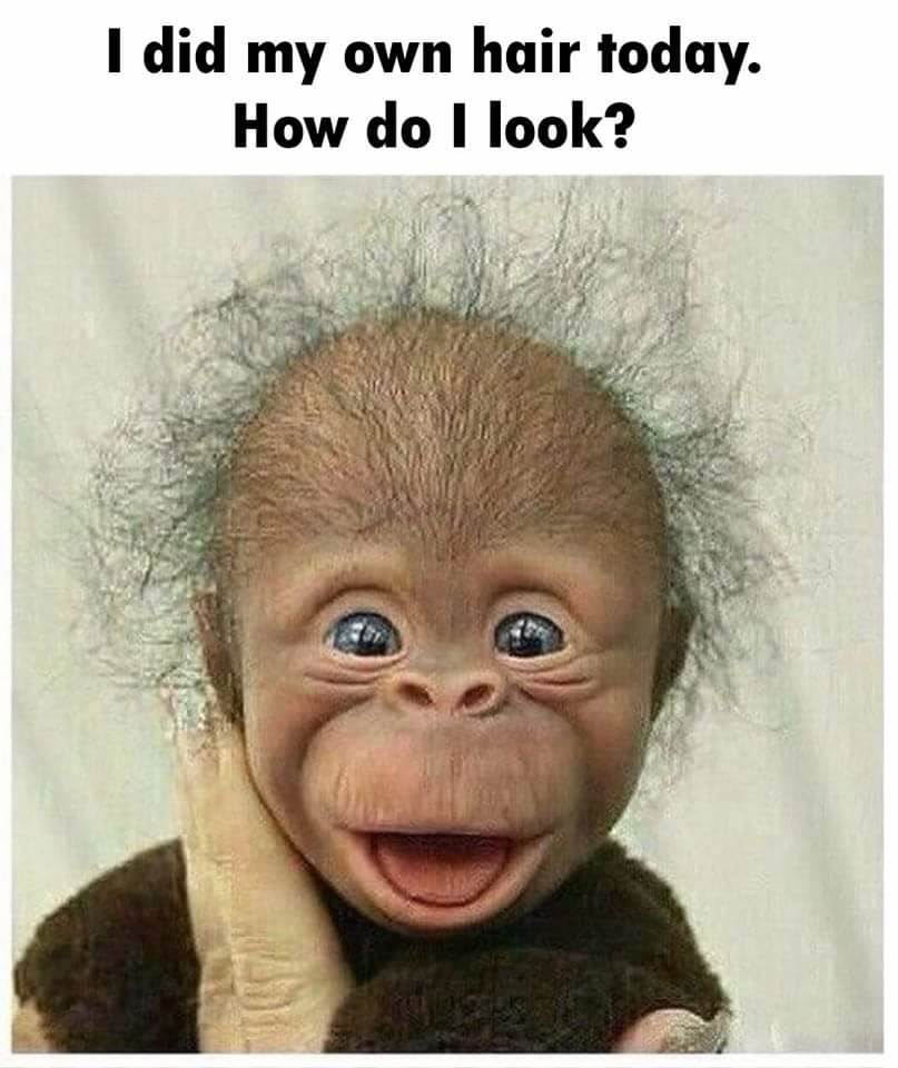 9410145633809293386011832516460753641275392n