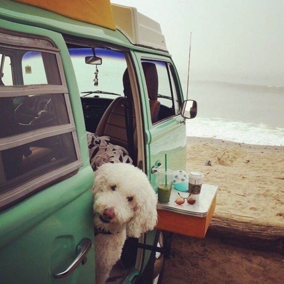 64500145101577060219214905782387699797196800o