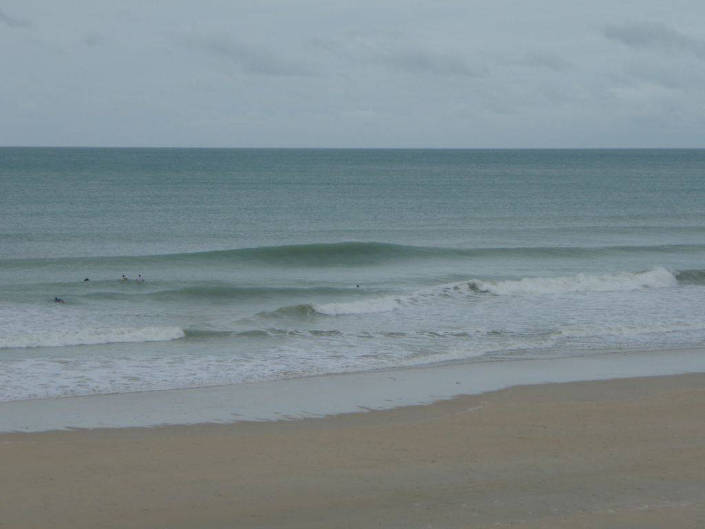 Sickies are sometimes gold when its cyclonic