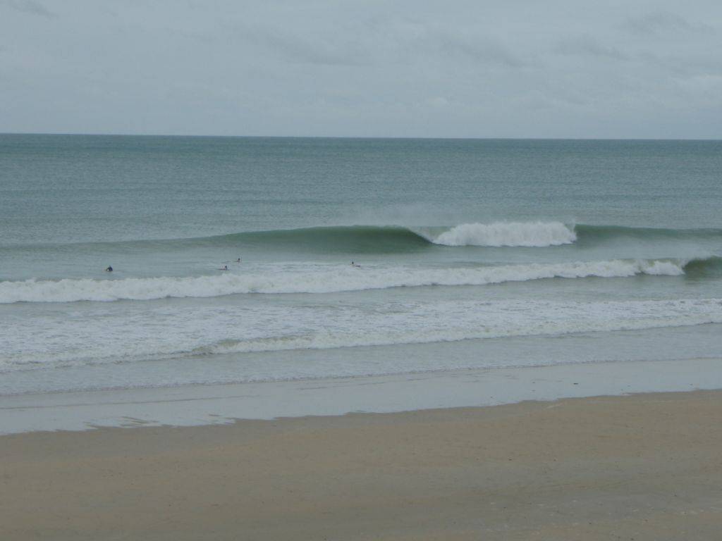 Sickies are sometimes gold when its cyclonic