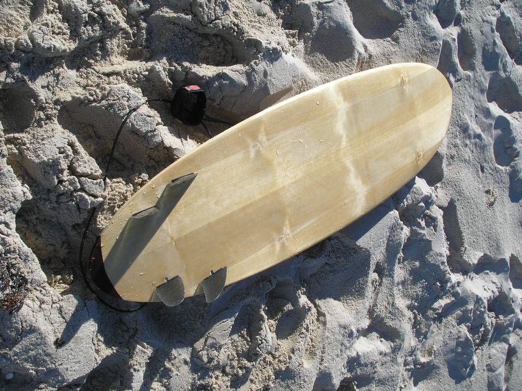 Treehouse Surfboards