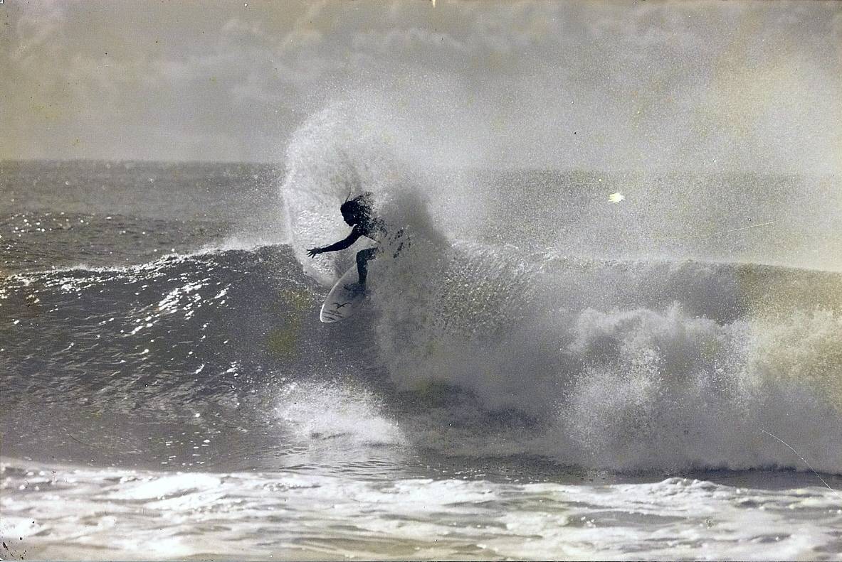 dogman nth coast nsw