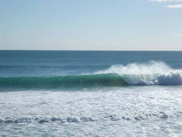 Scabs and floreat winter 08 