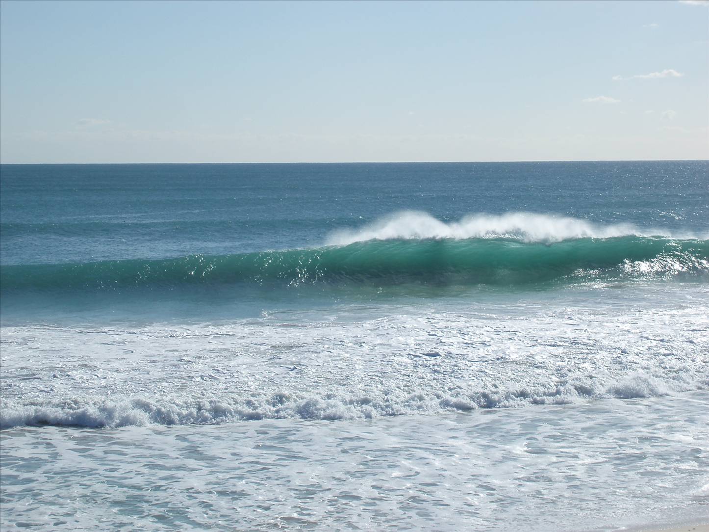 Scabs and floreat winter 08 