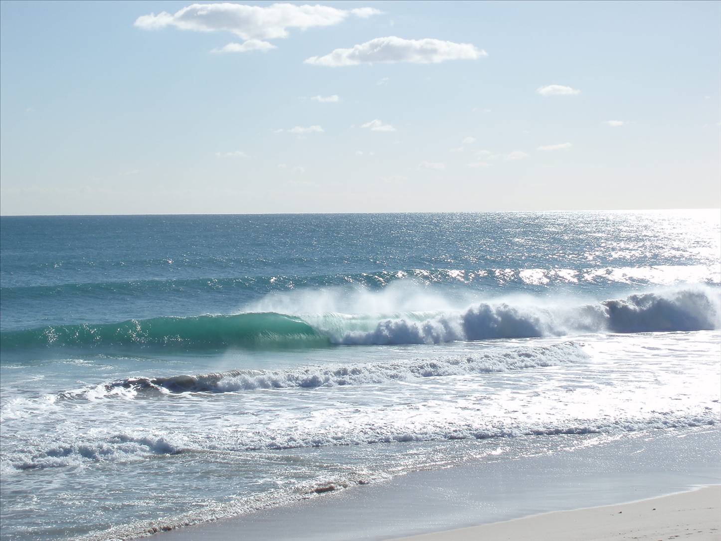 Scabs and floreat winter 08 