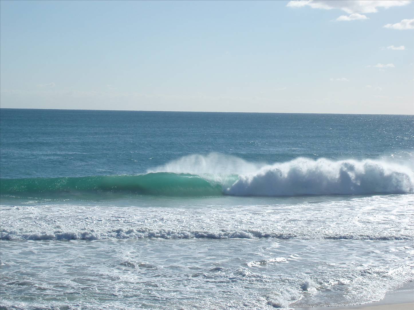 Scabs and floreat winter 08 