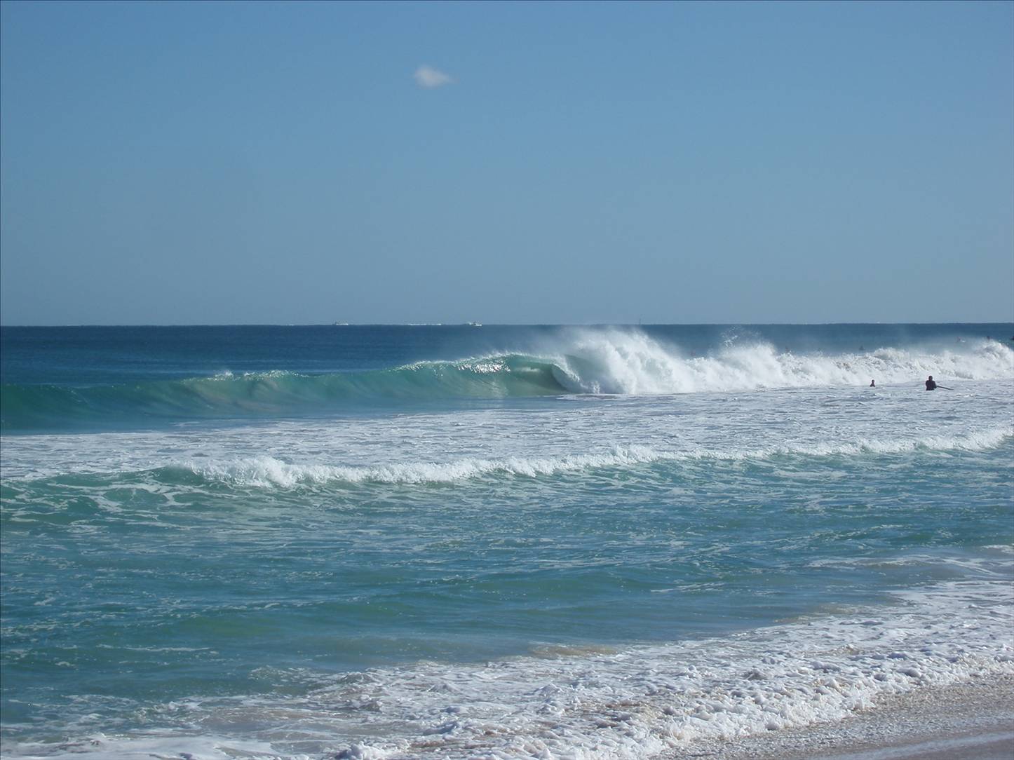 Scabs and floreat winter 08 