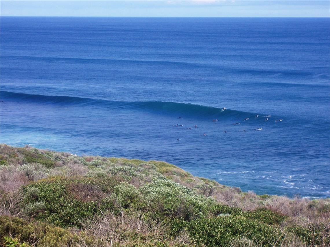 T-Bears Offshore All Day!!