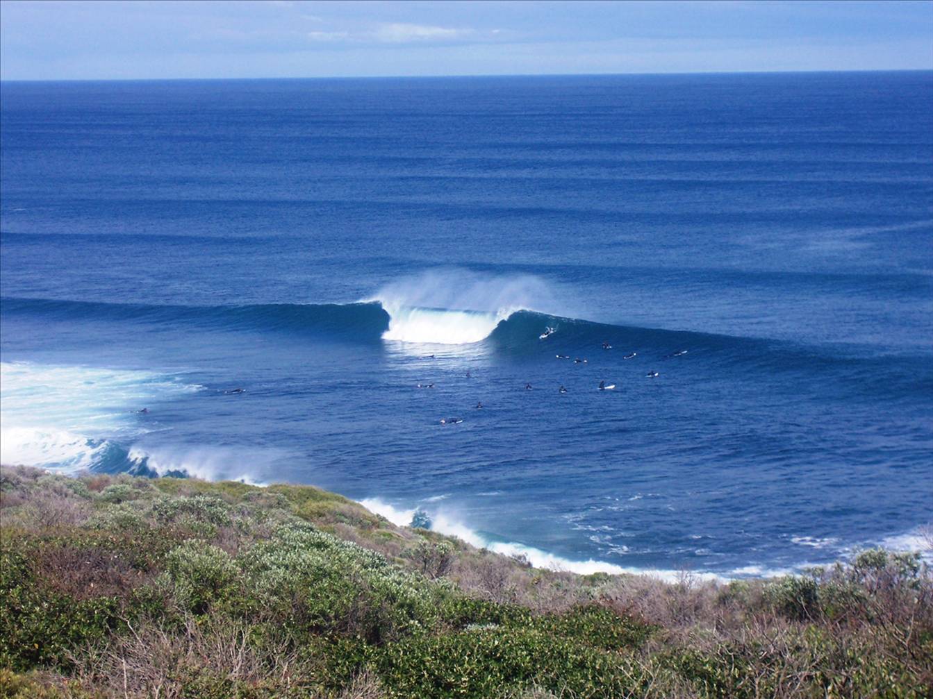 T-Bears Offshore All Day!!