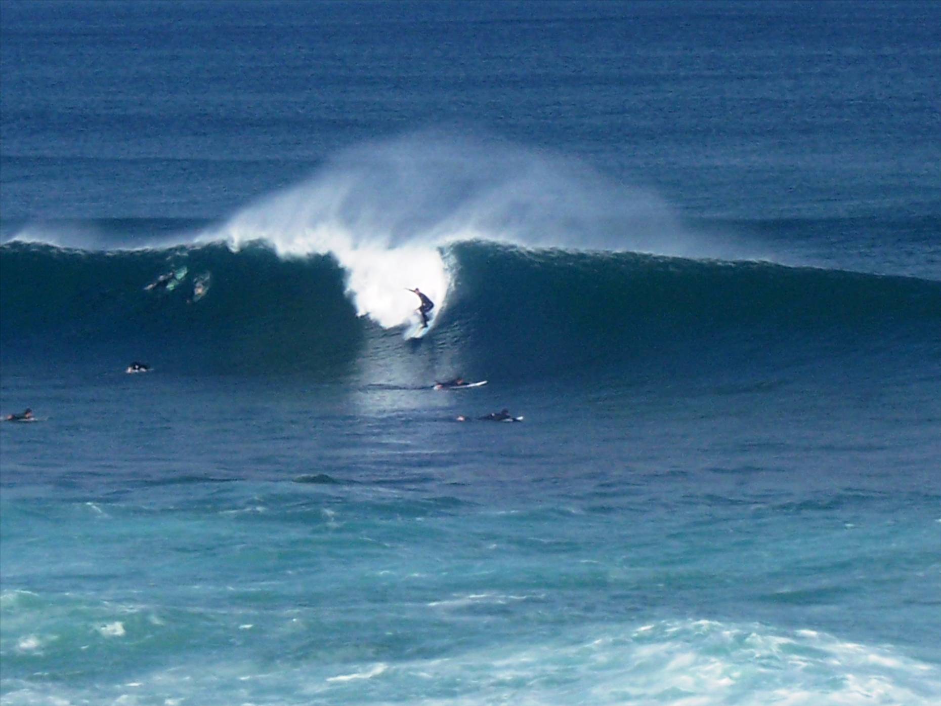 T-Bears Offshore All Day!!