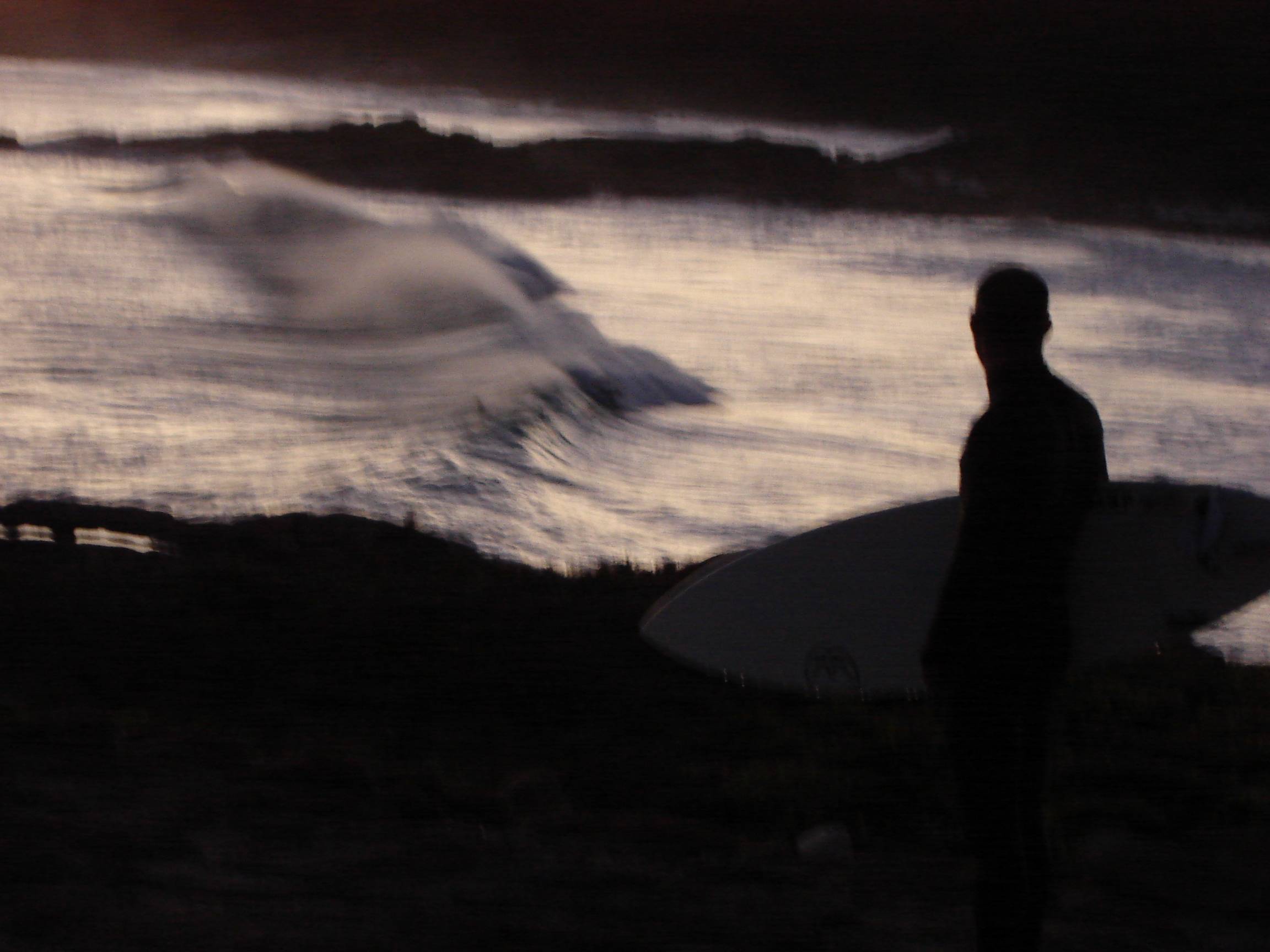 Fosters,Dogs,june 06 007