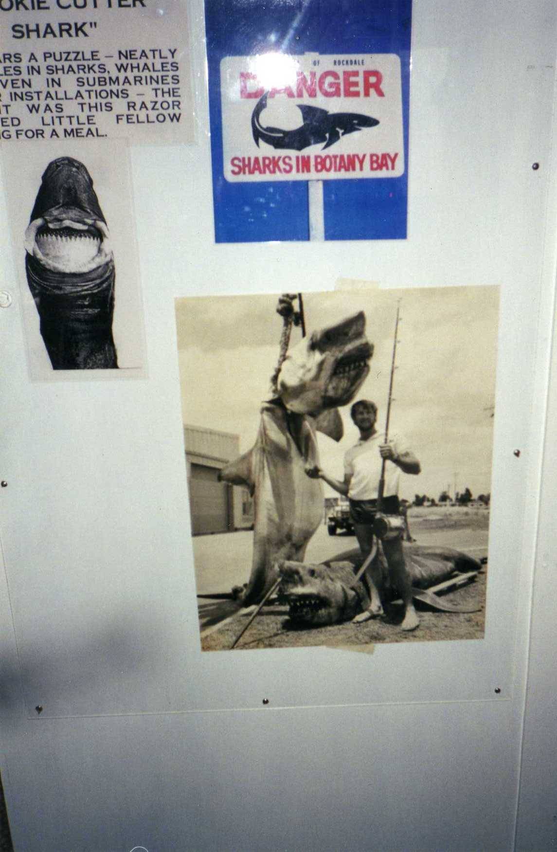 places to go places to see need know locals to get there