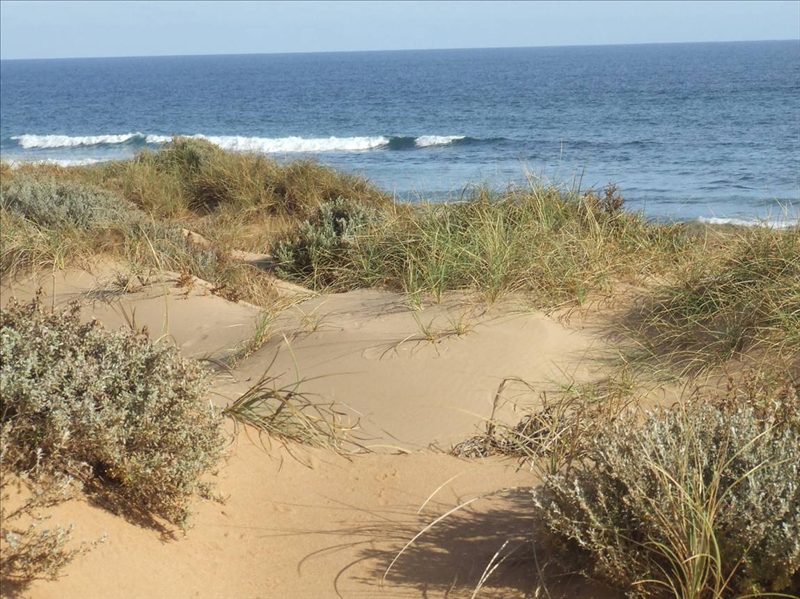 Easter 09 Surfing Ben Gaza 041
