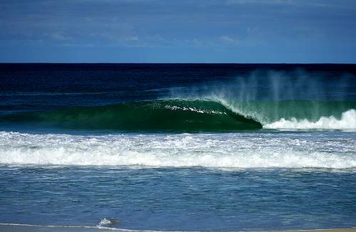 3302351109 f5a023a2c9