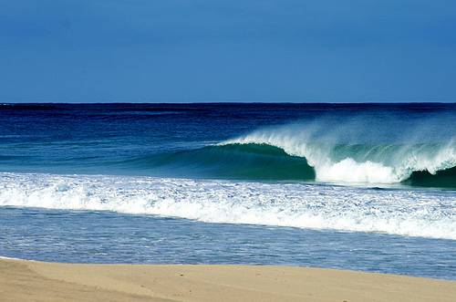 3302163879 51f118d841